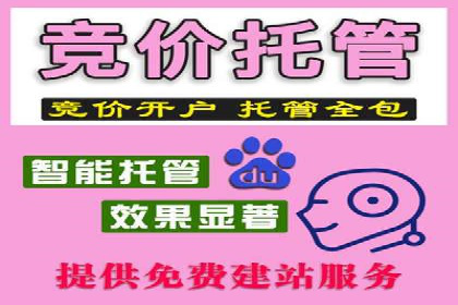 sem竞价托管代运营——广告优化的典范案例
